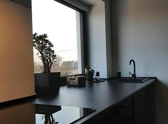 Apartment Staromiejska 65 *