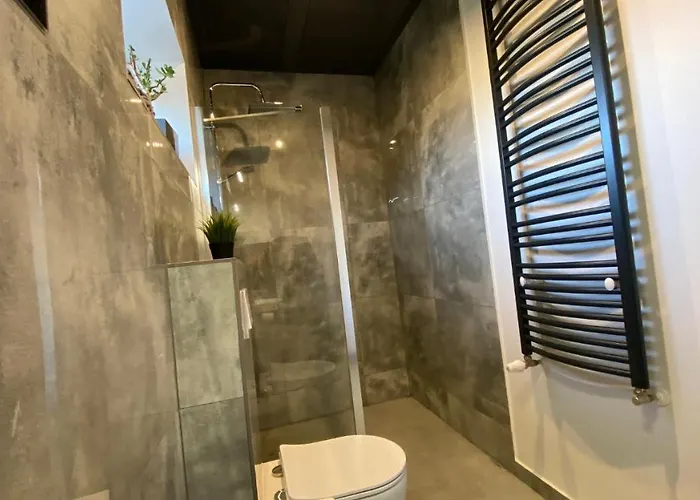 Staromiejska 65 Apartment Gliwice