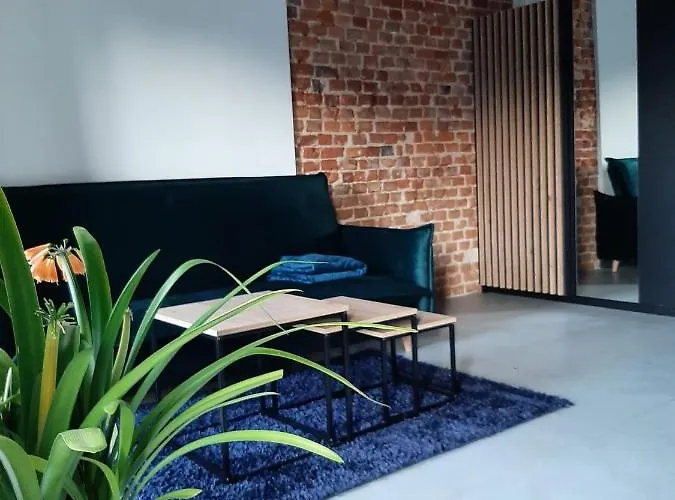 Apartment Staromiejska 65 *